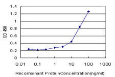 10 - RHOH Antibody (monoclonal) (M03) AT3638a