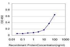 10 - RIN2 Antibody (monoclonal) (M01) AT3642a