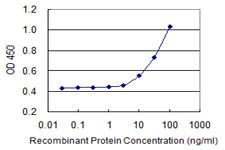 10 - RIN2 Antibody (monoclonal) (M04) AT3643a