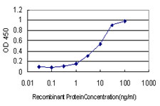 10 - RIT2 Antibody (monoclonal) (M01) AT3648a