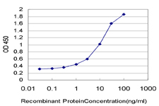 10 - RND2 Antibody (monoclonal) (M01) AT3655a