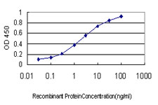 10 - RNF141 Antibody (monoclonal) (M01) AT3667a
