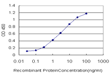 10 - RNF151 Antibody (monoclonal) (M02) AT3668a