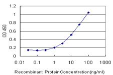 10 - ROBO2 Antibody (monoclonal) (M01) AT3685a