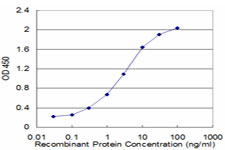 10 - RP2 Antibody (monoclonal) (M01) AT3695a