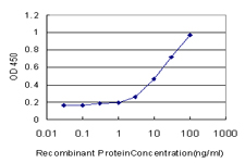 10 - RPL32 Antibody (monoclonal) (M01) AT3705a