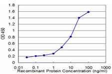 10 - RPL36A Antibody (monoclonal) (M01) AT3706a