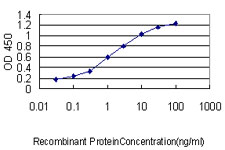 10 - RPL39L Antibody (monoclonal) (M01) AT3708a