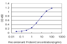 10 - RTKN Antibody (monoclonal) (M01) AT3733a