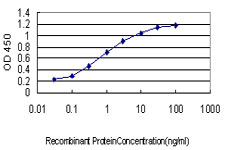 10 - SALF Antibody (monoclonal) (M01) AT3768a
