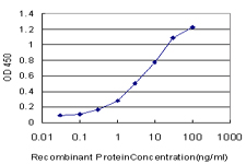 10 - SALL2 Antibody (monoclonal) (M10) AT3769a