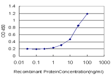 10 - SAP30 Antibody (monoclonal) (M02) AT3771a