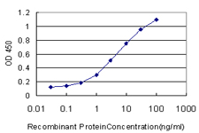 10 - SCGB3A2 Antibody (monoclonal) (M01) AT3787a