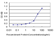 10 - SERPINA10 Antibody (monoclonal) (M02) AT3816a