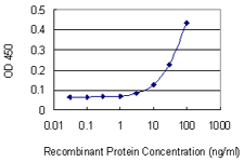 10 - SETDB2 Antibody (monoclonal) (M07) AT3833a