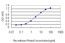 10 - SFRS10 Antibody (monoclonal) (M01) AT3844a
