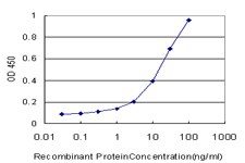 10 - SGCB Antibody (monoclonal) (M01) AT3852a