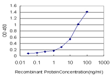 10 - SH2D3C Antibody (monoclonal) (M01) AT3863a
