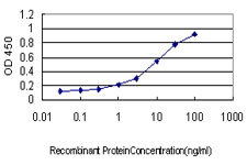 10 - SH2D3C Antibody (monoclonal) (M02) AT3864a