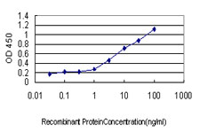 10 - SH2D4A Antibody (monoclonal) (M01) AT3865a