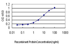 10 - SH3BP2 Antibody (monoclonal) (M01) AT3868a