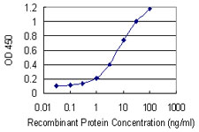 10 - SLC18A1 Antibody (monoclonal) (M01) AT3903a