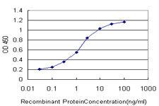 10 - SLC22A13 Antibody (monoclonal) (M01) AT3908a
