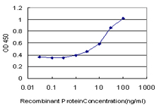 10 - SLC26A5 Antibody (monoclonal) (M04) AT3916a