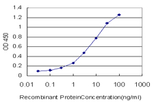10 - SLC29A4 Antibody (monoclonal) (M03) AT3918a