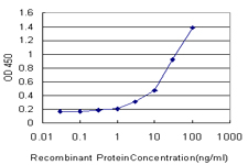 10 - SMARCD2 Antibody (monoclonal) (M01) AT3952a