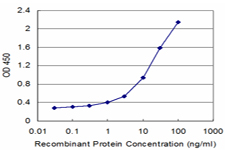 10 - SMOC1 Antibody (monoclonal) (M03) AT3961a