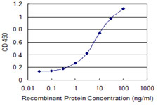 10 - SNAPC4 Antibody (monoclonal) (M01) AT3975a