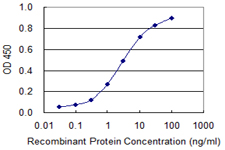 10 - SNAPC4 Antibody (monoclonal) (M04) AT3976a
