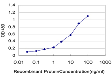 10 - SNAPC5 Antibody (monoclonal) (M07) AT3978a