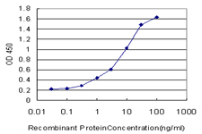 10 - SOX21 Antibody (monoclonal) (M01) AT3996a