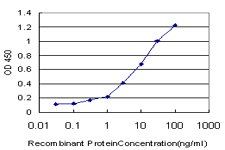 10 - SP110 Antibody (monoclonal) (M02) AT4007a