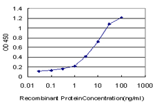 10 - SP110 Antibody (monoclonal) (M03) AT4008a