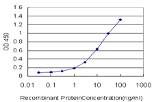10 - SPATA2 Antibody (monoclonal) (M01) AT4017a