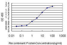 10 - SPIRE1 Antibody (monoclonal) (M01) AT4025a