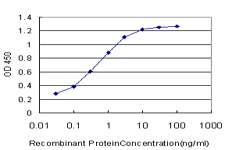 10 - SPRR3 Antibody (monoclonal) (M01) AT4030a