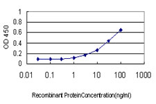 10 - SRCRB4D Antibody (monoclonal) (M01) AT4034a
