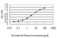 10 - SRGAP1 Antibody (monoclonal) (M03) AT4039a