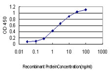 10 - STAC Antibody (monoclonal) (M01) AT4054a