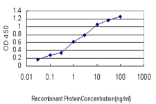 10 - STAU2 Antibody (monoclonal) (M10) AT4071a