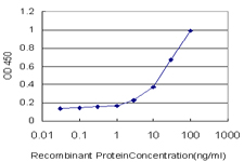 10 - SVIL Antibody (monoclonal) (M03) AT4117a