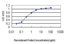 10 - SYMPK Antibody (monoclonal) (M03) AT4118a
