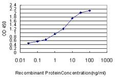 10 - SYNGR2 Antibody (monoclonal) (M01) AT4122a