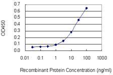 10 - SYT11 Antibody (monoclonal) (M03) AT4127a