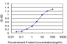 10 - TAF11 Antibody (monoclonal) (M01) AT4138a