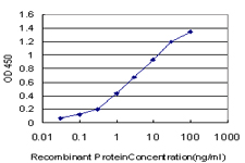 10 - TAF11 Antibody (monoclonal) (M04) AT4140a